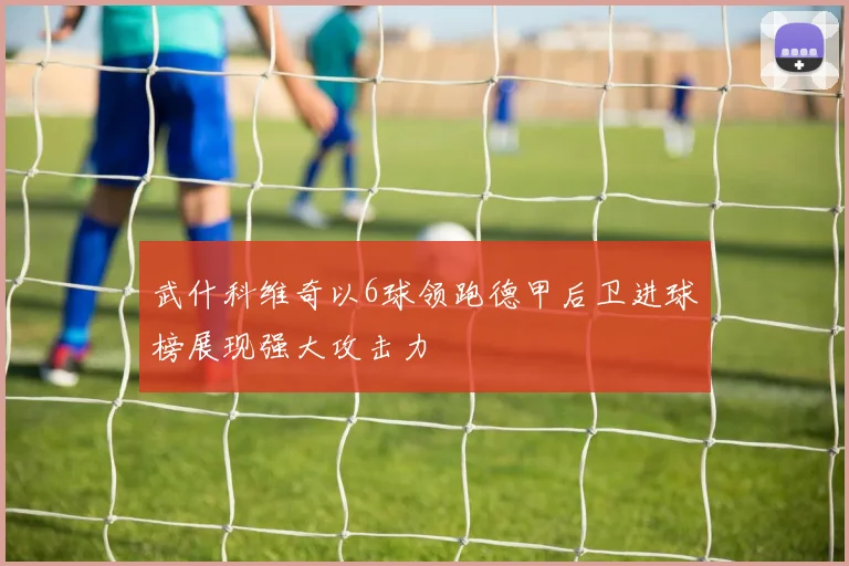 武什科维奇以6球领跑德甲后卫进球榜展现强大攻击力